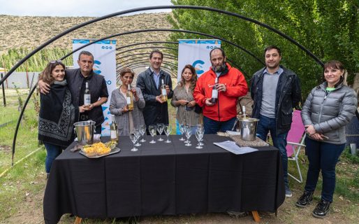 Luque destacó el potencial de Comodoro para convertirse en productor de vinos