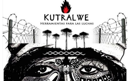 El Manual mapuche que enseña a “generar un clima de descontrol y caos”, “destruir y paralizar” infraestructura e inversiones
