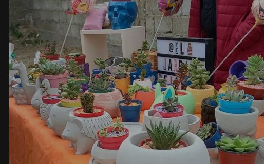Realizan feria de artesanos y productores en barrio Saavedra