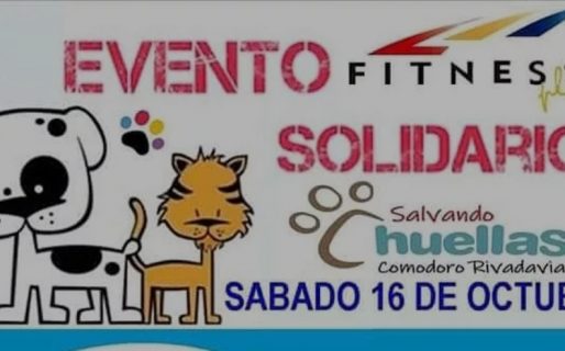 Organizan un evento fitness para reunir alimento de perros y gatos