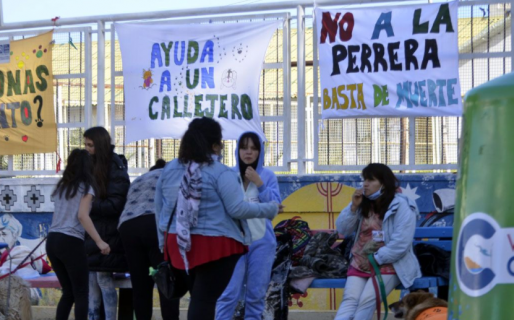 Siguen juntando firmas para rechazar la vuelta de la perrera en Comodoro