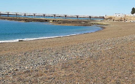 El Gobierno Provincial vedó la extracción de moluscos en Playa Belvedere, Km 3 y Rada Tilly