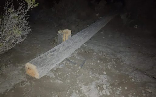 En Km 5 cortaron postes de luz con motosierra para robar cables