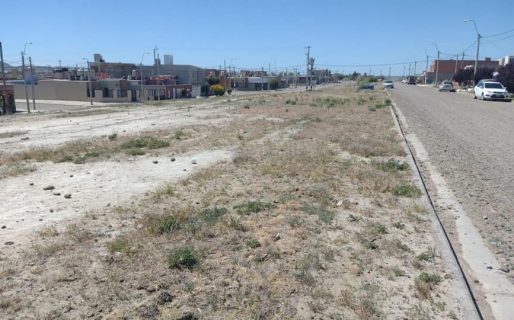 Vecinos solicitan embellecer espacios de Próspero Palazzo