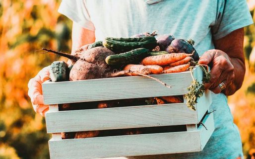 Otorgarán más de $2 millones a mujeres emprendedoras de la agroindustria
