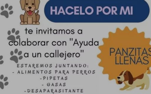 Rotary Comodoro Rivadavia impulsa la campaña “Panzitas Llenas”