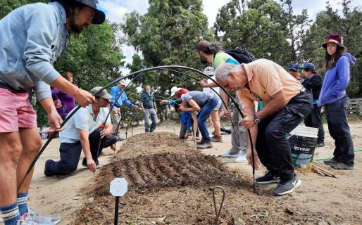 Capacitación en huerta intensiva orgánica