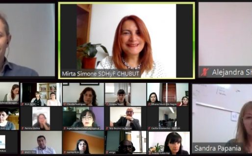 Chubut participó de un encuentro patagónico sobre adopciones