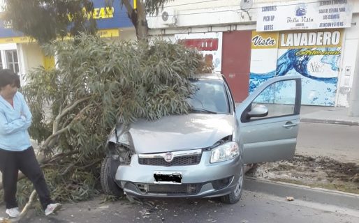 Quiso esquivar un bache e impactó contra un árbol