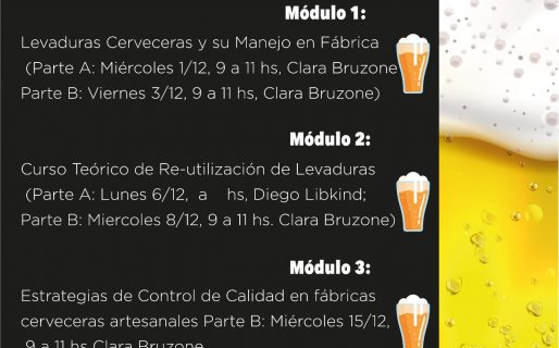 Convocan a productores cerveceros al ciclo online Ciencia y Cerveza II