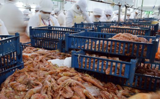 Se redujeron los derechos de exportación para el sector pesquero