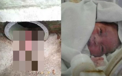 Abandonaron a una beba en la alcantarilla y los gatos callejeros alertaron a la gente