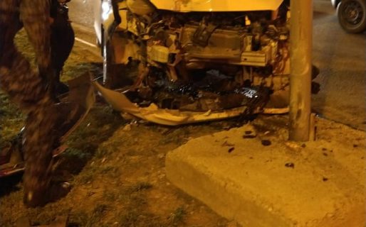 Un vehículo chocó contra una palma