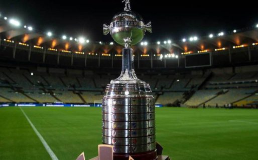 River aseguró su clasificación a la Copa Libertadores del próximo año