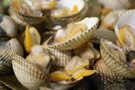 Gobierno advierte sobre la alta concentración de «toxinas paralizantes» en moluscos de Península Valdés