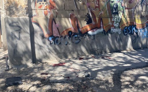 Presunto femicidio: Asesinaron a puñaladas a una docente del colegio Perito Moreno