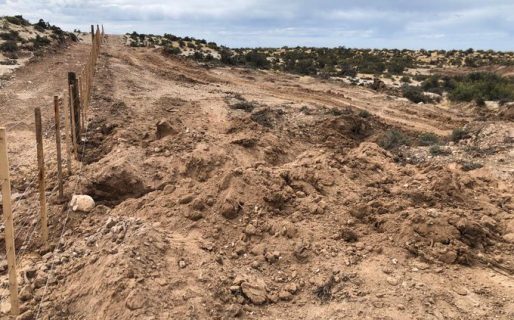 Para Navarro «hay que electrificar» al autor del ecocidio en Punta Tombo