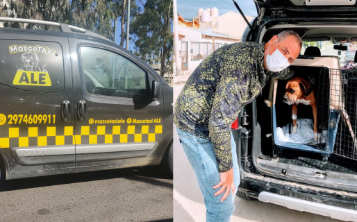 “Mascotaxi”, el peculiar medio de transporte para personas que buscan moverse con sus animales