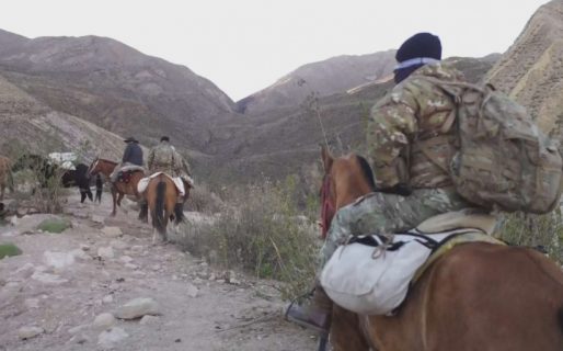 Mulas, caballos y aviones: el despliegue para las elecciones