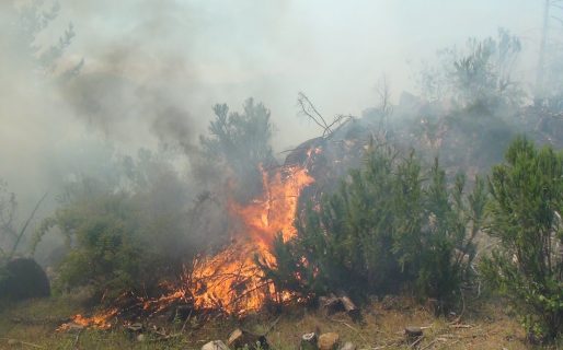 Declaran la emergencia ígnea en El Hoyo