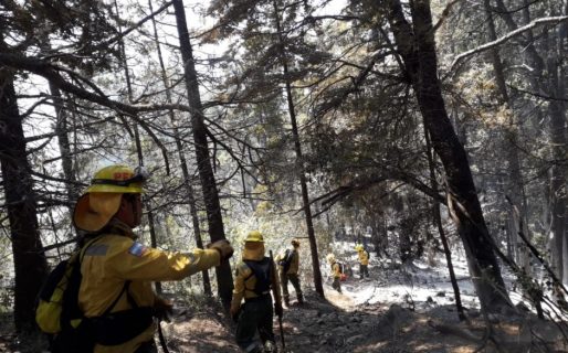 El incendio en Lago Puelo sigue activo y ya quemó más de 80 hectáreas