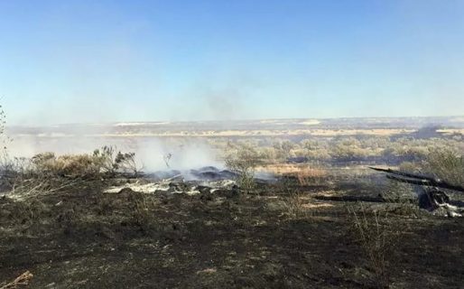 Importante incendio quemó gran extensión en acceso oeste de Trelew