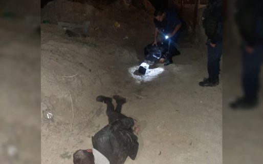 Ingresaron al patio de su casa, le rompieron el vidrio de la camioneta e intentaron robar