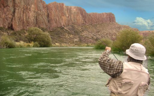 Avanzan con los preparativos para la Fiesta Nacional del Salmón del Pacífico