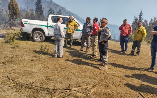 Continúa el operativo para controlar el incendio en la Cordillera
