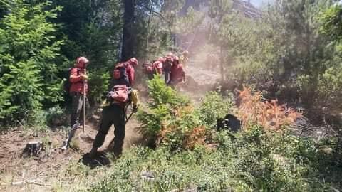 Incendio Cerro Currumahuida: Anoche se reactivaron dos focos, uno puso en riesgo una vivienda
