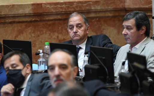 Linares: «Nosotros tendremos una postura favorable para acompañar el acuerdo con  el FMI»