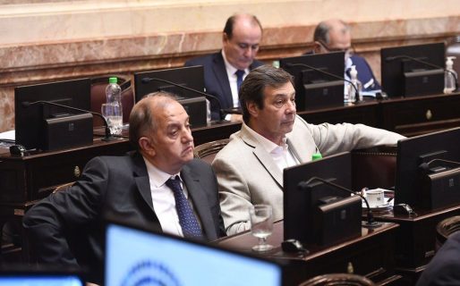 “Fueron anti vacunas, fueron anti cuarentena. Y ahora les da la cara para hacer pedidos de informes”