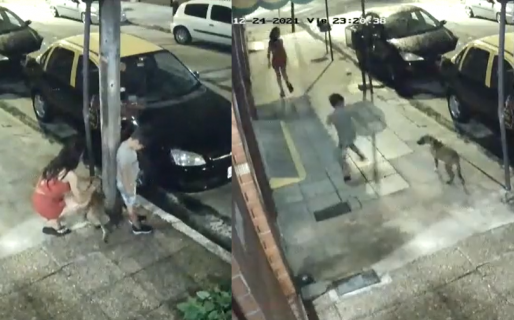 Aprovechando que todos cenaban en Nochebuena, una mujer ató a su perro a un poste y lo abandonó