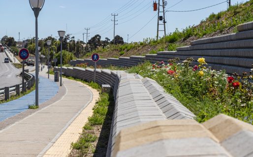 El Municipio continúa con la forestación de espacios públicos