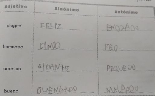 ¿Cuál es el sinónimo y antónimo de la palabra ‘bueno’? “Buenardo y malardo”, respondió un nene de segundo grado