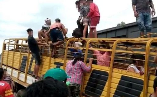 Tras un choque, faenaron las vacas en medio de la calle