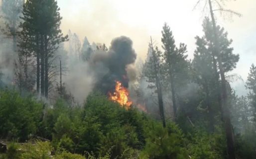 Ambiente definió este incendio como prioritario porque es considerado de interfase