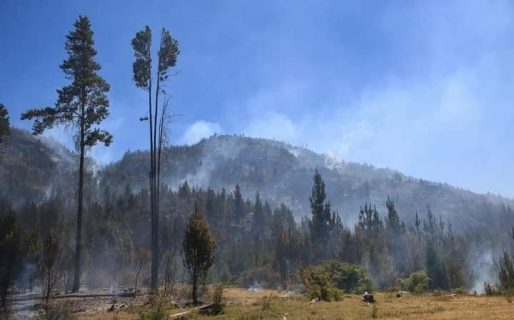 El COFEMA declaró el estado de emergencia ígnea en todo el territorio nacional