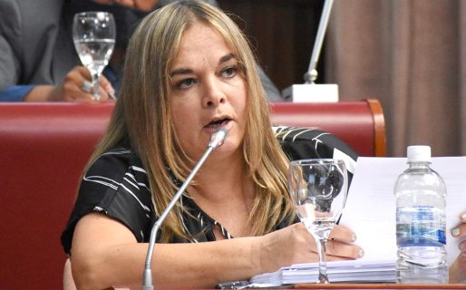 Lloyd Jones: Si se suspende la sesión “tenemos los diputados para una extraordinaria”