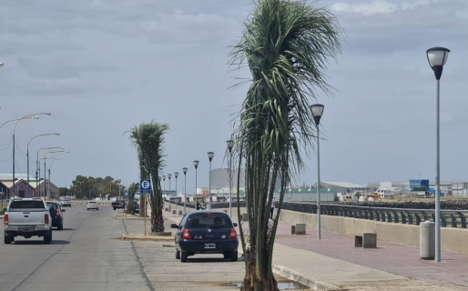 Arranca la semana con temperaturas dignas de Miami y el viento de Comodoro