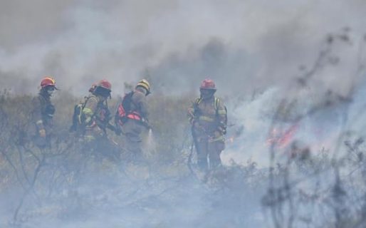 El gobierno provincial coordinará el rescate de los animales afectados por los incendios