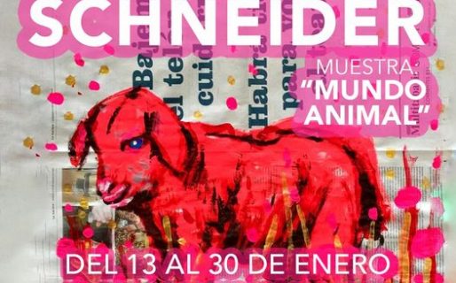 Llega a Rada Tilly la muestra «Mundo Animal»