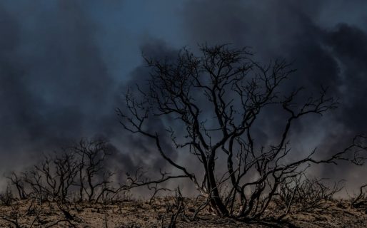 El incendio en la zona de Puerto Lobos está contenido
