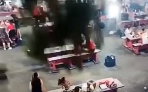 Disfrutaban de un asado y se les vino encima un árbol