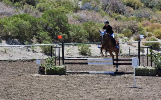 “Haras El Cardenal” organiza una clínica de Adiestramiento y Salto Hípico