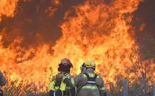 «El daño es importante, se han quemado casi 65 mil hectáreas»