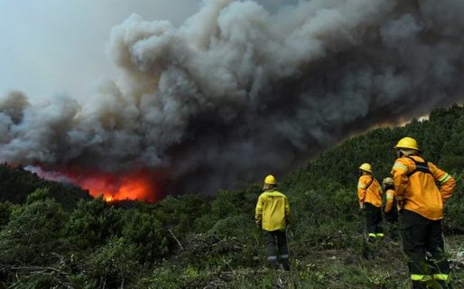 Los incendios en Bariloche no dan tregua: se sumaron dos nuevos focos en la zona del lago Martin