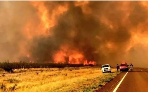 “Solo quedó muerte”, la desgarradora imagen tras los incendios en Puerto Madryn