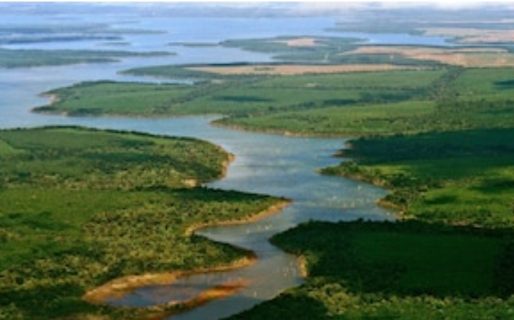Los Esteros del Iberá fueron elegidos entre los destinos recomendados por The New York Times