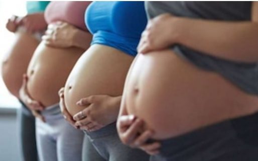 SUAF de ANSES: requisitos y topes para cobrar la Asignación Familiar por Prenatal